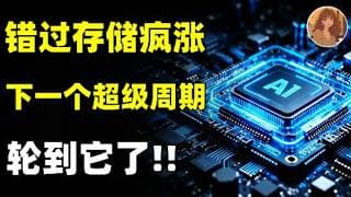 单台赚 11 万！Rubin 最大赢家被我找到了，美股唯一纯AI PCB公司，错过MU,SNDK？下一个超级周期千万别再错过！TTIM.NVDA.MU.SNDK.IBM.MRVL.#美股 #ai
