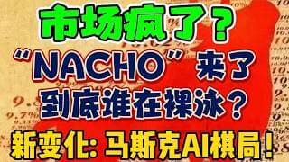 市场疯了？“NACHO” 来了！ 到底谁在裸泳？新变化: 马斯克 AI 棋局！