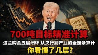 波兰狂扫64吨黄金蝉联全球最大买家，顶级布局全在明面上：波兰64吨购金的五层逻辑，你看懂了几层? #黄金#白银#财经#金价