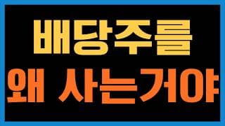 이런 시기에 도대체 왜 배당주를 사는거야