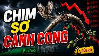 🔴VN-INDEX 02/07/2026: Chim sợ cành cong - Cành chưa cong mà chim đã bay mất