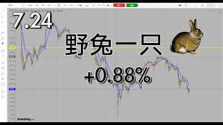 今日反弹力度不大，小盈离场