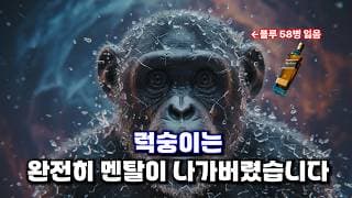 뇌동매매 끝내고 역대급 상승장 준비합니다. 이번주 대응 계획(테슬라,마소,아마존,엔비디아,비트코인)