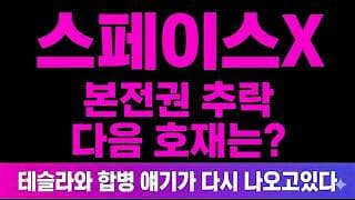 [스페이스X 주가 전망] (긴급) 테슬라와 합병? 신고가 찍고 "본전권 추락" 이틀째 급락 더 빠지나?