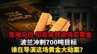重磅！全球央行Q1疯抢244吨黄金，越跌越买！连危地马拉、印尼这些"新面孔"都进场了——一场静悄悄的货币换锚正在上演！#黄金#白银