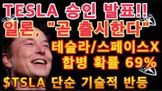 D-day Tesla 실적발표 / TESLA 로보택시 독점 충전소 승인 / 테슬라 메가팩 신규 시설 건설 허가 획득/테슬라, 스페이스X 합병 확률 69%(28년이전)/ $TSLA