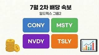 [일드맥스 배당 속보] CONY MSTY NVDY PLTY TSLY 7월 2th 배당금