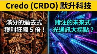 獲利暴增 5 倍卻暗藏致命傷？最大客戶佔比破三成！Credo (CRDO) 財報背後的兩大紅燈與三張底牌