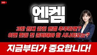 엔켐 주가 전망 / 3만원위 고점에 묶였다면? 이번 반등 전 준비해야 할 시나리오는? 지금부터가 중요합니다!