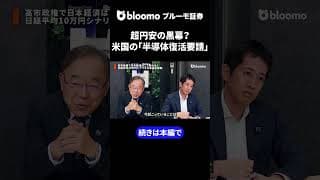 超円安の黒幕？米国の「半導体復活要請」 #中村仁 #武者陵司 #日本経済 #円安