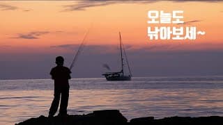 563일차 매일 미국 주식 사는 남자 20210819
