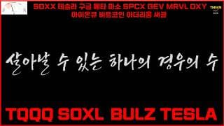 살아날 수 있는 하나의 경우의 수 TQQQ SOXL  BULZ TESLASOXX 테슬라 구글 메타 마소 SPCX GEV MRVL OXY 아이온큐 비트코인 이더리움 써클