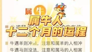 属牛人每个月出生的运程如何