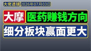 大摩[20260703]：赚钱细分方向——中国医药板块