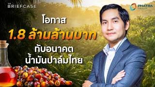 1.8 ล้านล้านบาท โอกาสทองน้ำมันปาล์มไทย PHAT สู่ตลาดโลก | THE BRIEFCASE | THE BRIEFCASE