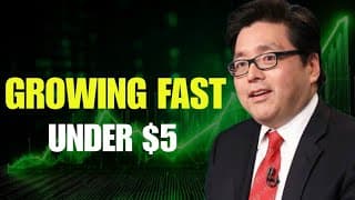 4 Small Cap Tech AI Stocks Under $5 Most Investors Haven’t Noticed Yet‼️