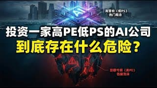 美股投资一家高PE低PS的AI公司，到底存在什么风险？TSLA PLTR SYM ....