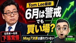 【米国株】急落後、また上がる？Tom Leeが語る「5月末〜6月の下落」とその後の強力反発