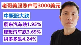 我的美股账户亏3000美元；中概股大跌，蔚来汽车NIO跌1.95%，理想汽车LI跌3.69%，拼多多PDD4.24%