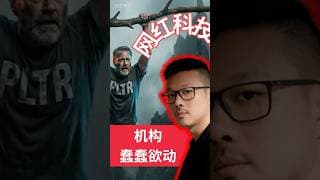 数据揭露机构蠢蠢欲动特斯拉，网红科技股遭空军狙击  #美股分析 #美股