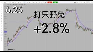 日内山顶谨慎做多，打野兔及时撤