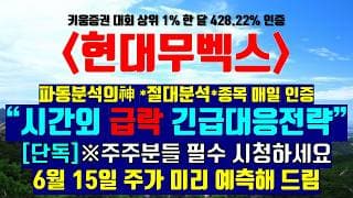 《파동분석의神》 현대무벡스 "시간외 급락 긴급대응전략" ※[단독] 주주분들 필수 시청하세요 6월 15일 주가 미리 예측해 드림