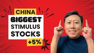 China Biggest Stimulus: Stocks Up 5 %