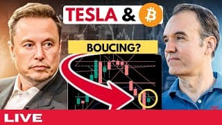 Is Tesla stock bouncing and is it time to get back in?