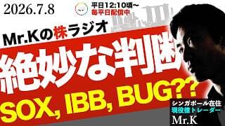 【葛藤】絶妙な判断！ポートフォリオで乗り越える戦略か｜AI半導体は終わりなのか？！