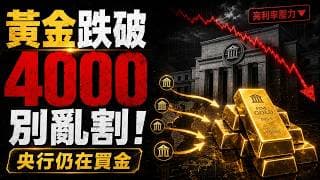 世界黃金協會親口說泡沫出清了，黃金跌破4000，我差點割肉！世界黃金協會揭露：散戶在逃，央行卻瘋狂囤金