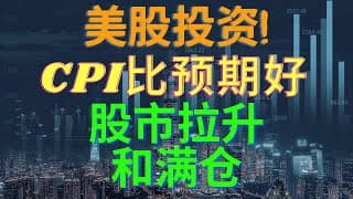 【美股投资】CPI数据低于预期，股市暴力拉升！聊聊Vale， NEM财报。聊聊锂矿集团。再聊聊太阳能。又满仓了。2022年8月10号 #investing #nasdaq #fed #SQM #ALB