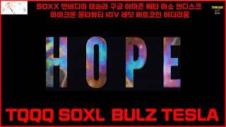 HOPE TQQQ SOXL  BULZ TESLA SOXX 엔비디아 테슬라 구글 아마존 메타 마소 샌디스크 마이크론 울타뷰티 IGV 레딧 비트코인 이더리움
