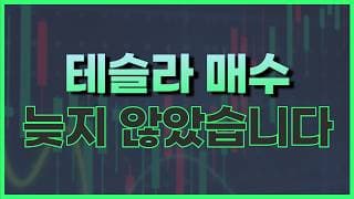 테슬라 주식 매매 전략