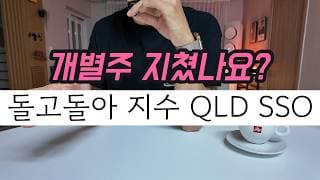개별주 투자로 지친 분들, 앞으로 들어올 새로운 돈은 '이곳'으로 보내세요 VOO, QQQ부터 QLD, SSO