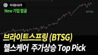 이번 여름 헬스케어 섹터의 상승은 매우 강하다. 그 중에서도 특히 강한 상승을 보이는 BrightSpring Health Service 라는 기업이 어떤 기업인지 분석해 보았다.
