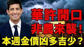 黃金4000恐失守？聯準會主席華許本周亮相、非農來襲，金價凶多吉少！#黃金#黃金價格 #黃金走勢#投資#理財