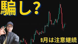 ビットコイン、現在の調整は「騙し」なのか！？サイクルピークはまだ！