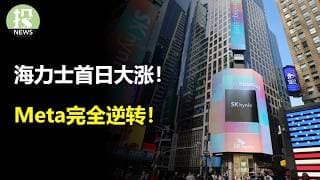 海力士首日大涨！Meta完全逆转！谷歌被机构看空？Reddit成稀缺资产？年轻人就不买房？