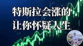 特斯拉全面解析。分享一个8个月回报133%的养老期权操作 | 百万美金挑战 EP3