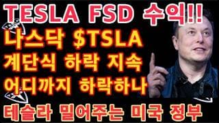 나스닥, $TSLA 계단식 하락 지속 중! 어디까지 하락하나 / TESLA FSD 수익!! 조만간 35% / 중국 로봇 전면 금지! 테슬라 옵티머스에 추후 긍정적 / Tesla
