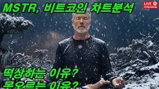 MSTR, 비트코인 저점은 나왔는데..떡상 or 못오를 수 있는 이유?