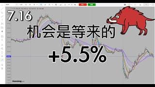 耐心等候机会，打只500斤野猪