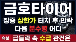 [금호타이어 종목 주가 전망] 5거래일 만에 +122% 폭등, 5,900원 지지 지켜낼까? #금호타이어 #상한가급등주 #초변동성