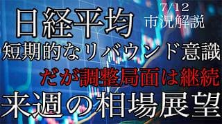 7/12【日経平均】目先は短期リバウンド意識だが調整局面は継続！TOPIXは底堅い展開！来週の相場展望考察！
