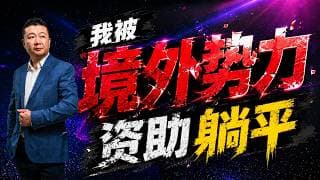 躺平 境外势力资助