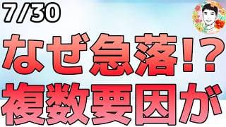 米株市場が急落！ナスダックが調整入りしました！【7/30 米国株ニュース】