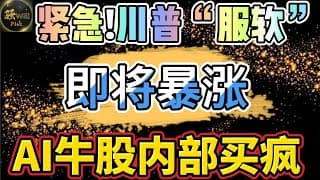 美股投资｜Taco暴涨开始?快上车!潜力AI冷门牛股,机构内部同步抄底买入.｜美股趋势分析｜美股期权交易｜美股赚钱｜美股2025