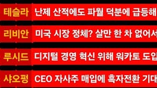 [News] 테슬라 (Tesla) 리비안 (Rivian) 루시드 (Lucid) 샤오펑 (Xpeng)