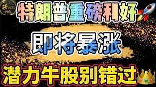 美股投资｜特朗普重磅利好,提前埋伏暴涨这个板块起飞.这些潜力股别错过.AAPL TSLA NVDA AMD GOOG UNH CRWV｜美股趋势分析｜美股期权交易｜美股赚钱｜美股2025