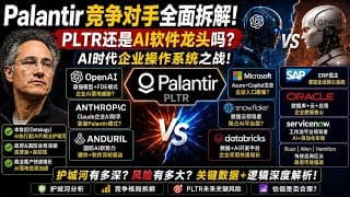 Palantir vs 软件行业竞争对手：PLTR到底是AI软件龙头，还是高估值神话？